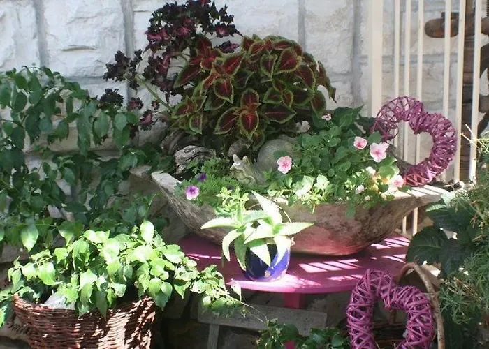 Apartment Bol Apartment *